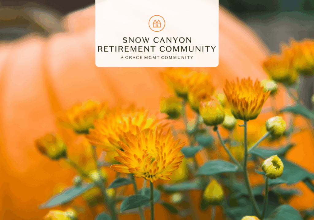 Snow Canyon - Autumn Festival - Snow Canyon
